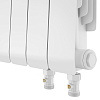 Радиатор биметаллический Royal Thermo Infinity 300 Bianco Traffico VR80 - 6 секц. - 4