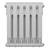 Радиатор Royal Thermo BiLiner 500/Bianco Traffico - 6 секц. - 2