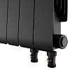 Радиатор биметаллический Royal Thermo Infinity 300 Noir Sable VR80 - 10 секц. - 4