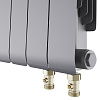 Радиатор биметаллический Royal Thermo Infinity 300 Silver Satin VR80 - 10 секц. - 4